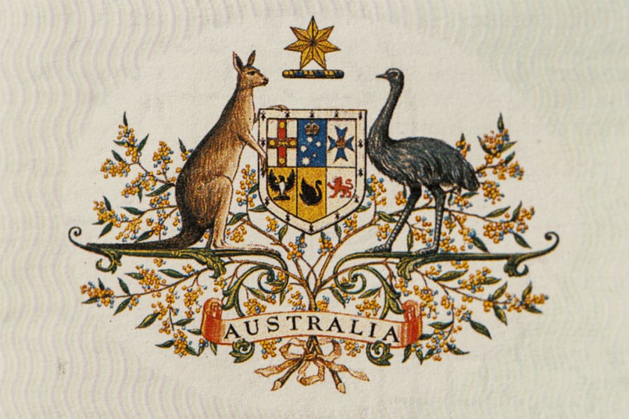 australia_kangaroo_peacock
